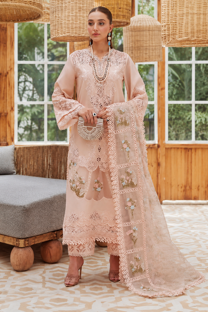 3 Piece Unstitched Chikankari Embroidered Cotton Suit with Organza Silk Dupatta